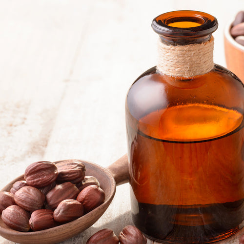 Ingredient Spotlight: Jojoba Oil