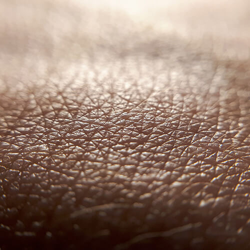 A closeup view of the skin, which contains an essential microbiome